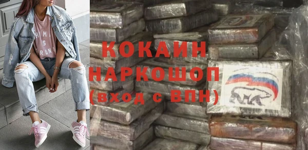 индика Армянск