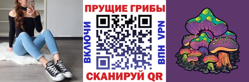 МЕГА tor  Пушкино  Галлюциногенные грибы мицелий  купить закладку 