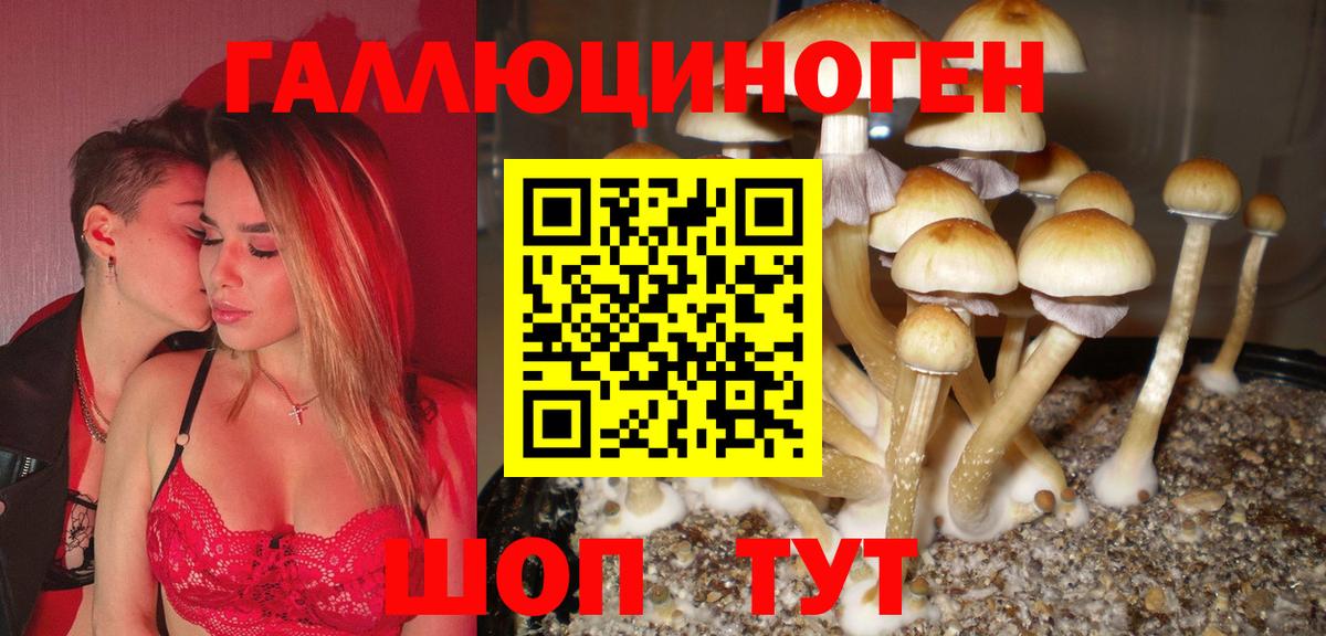 Галлюциногенные грибы прущие грибы Пушкино